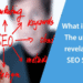 What is SEO
