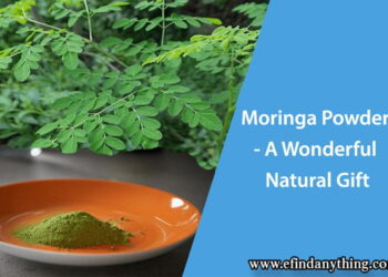 Moringa Powder - A Wonderful Natural Gift