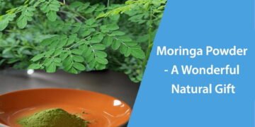 Moringa Powder - A Wonderful Natural Gift