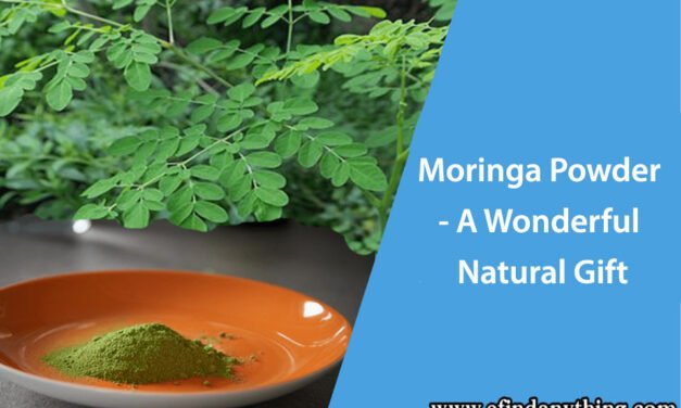 Moringa Powder – A Wonderful Natural Gift