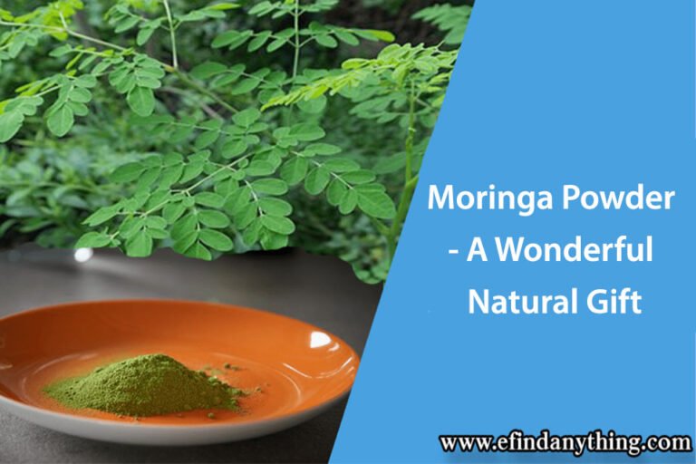 Moringa Powder - A Wonderful Natural Gift