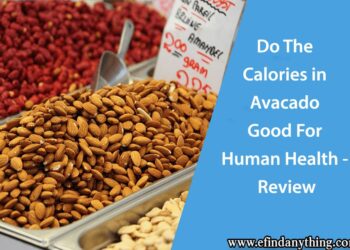 Do The Calories in Avacado Good For Human Health - Review