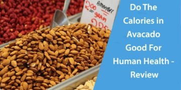 Do The Calories in Avacado Good For Human Health - Review