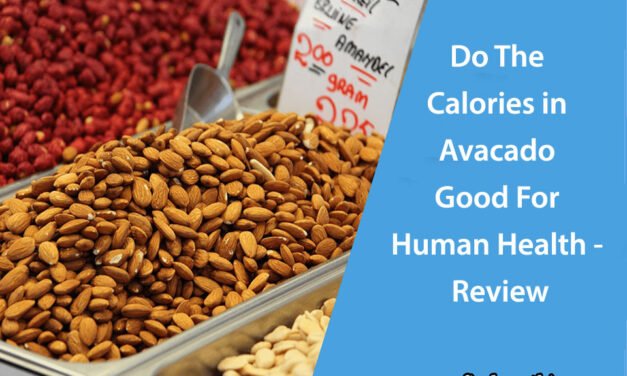 Do The Calories in Avacado Good For Human Health – Review