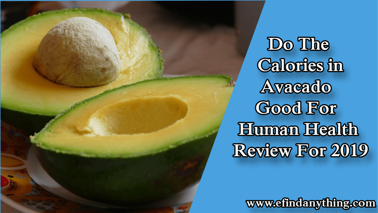 Do The Calories in Avacado Good For Human Health – Review For 2019