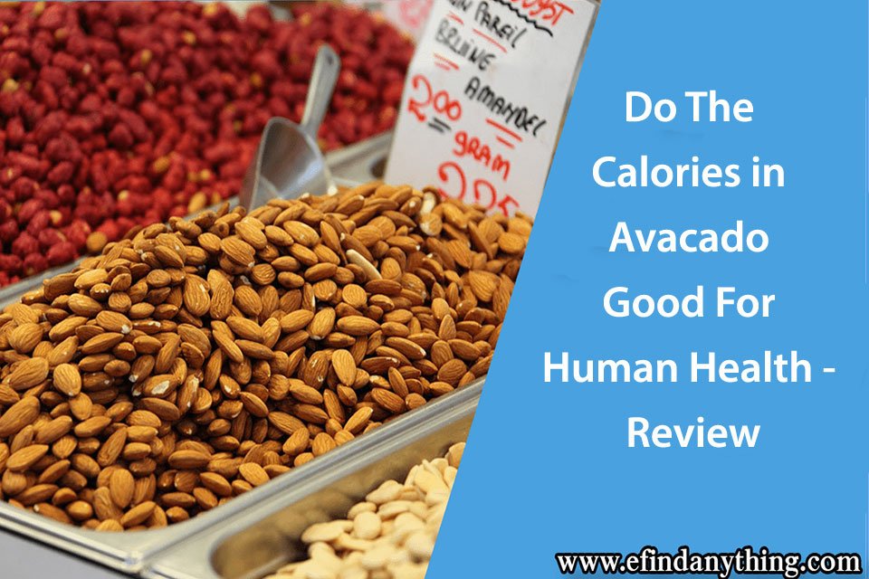 Do The Calories in Avacado Good For Human Health - Review