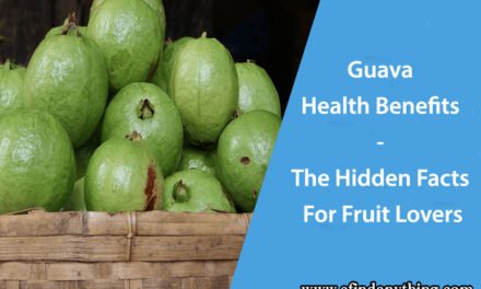 Guava Health Benefits – The Hidden Facts For Fruit Lovers