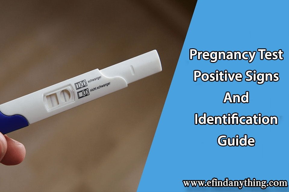 Pregnancy Test Positive Signs And Identification Guide