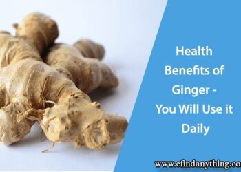 Health Benefits of Ginger - You Will Use it Daily