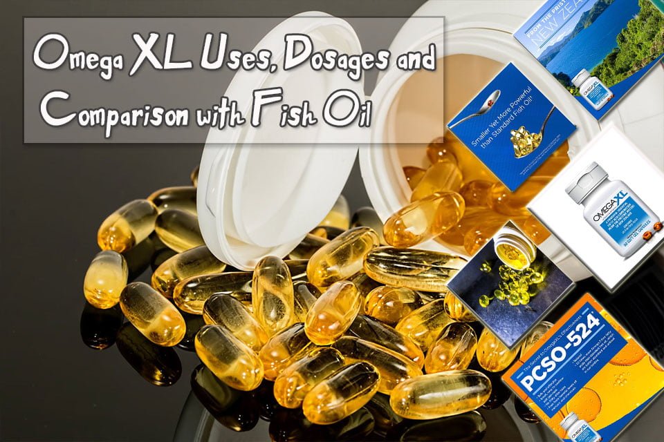 Omega XL Uses, Dosages and Comparison with Fish Oil