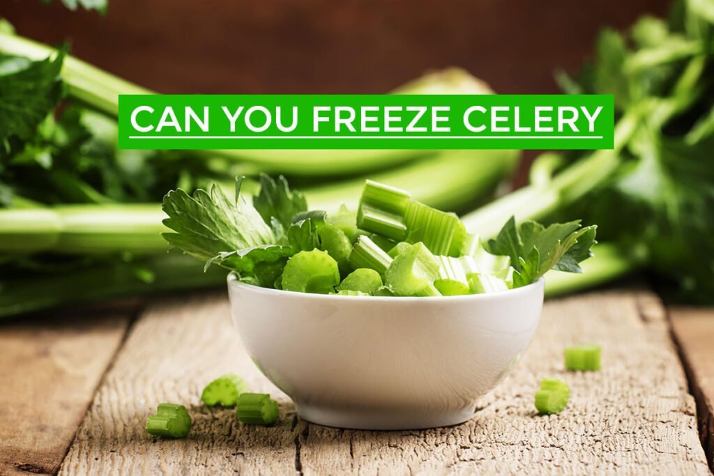 Can you freeze celery