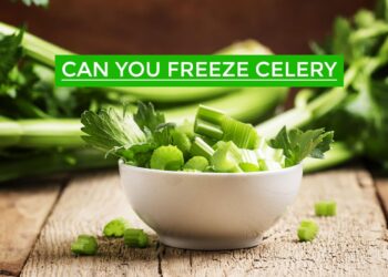Can you freeze celery