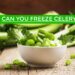 Can you freeze celery