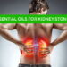 Essential Oils for Kidney Stones