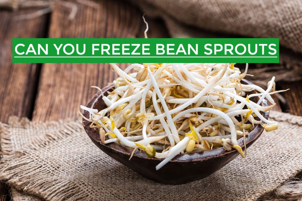 can you freeze bean sprouts