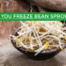 can you freeze bean sprouts