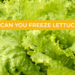 Can you freeze lettuce