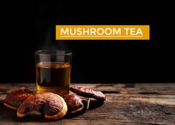Mushroom Tea