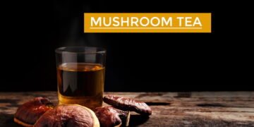 Mushroom Tea
