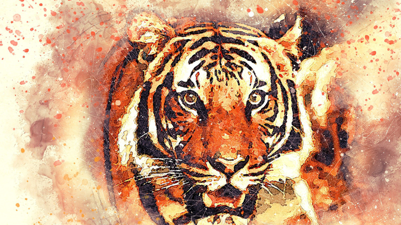 Top 05 sites to know my Spirit Animal | E Find Anything Top 05 sites to know my Spirit Animal | E Find Anything