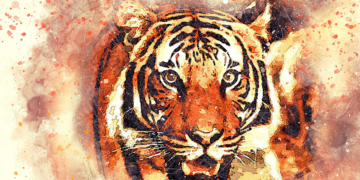 Top 05 sites to know my Spirit Animal