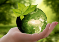 7 Quick And Easy Ways to Make Your Business More Sustainable