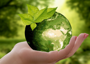 7 Quick And Easy Ways to Make Your Business More Sustainable