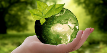 7 Quick And Easy Ways to Make Your Business More Sustainable