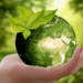 7 Quick And Easy Ways to Make Your Business More Sustainable