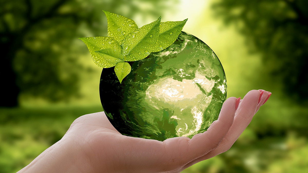 8 Quick And Easy Ways to Make Your Business More Sustainable
