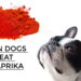 Can Dogs Eat Paprika