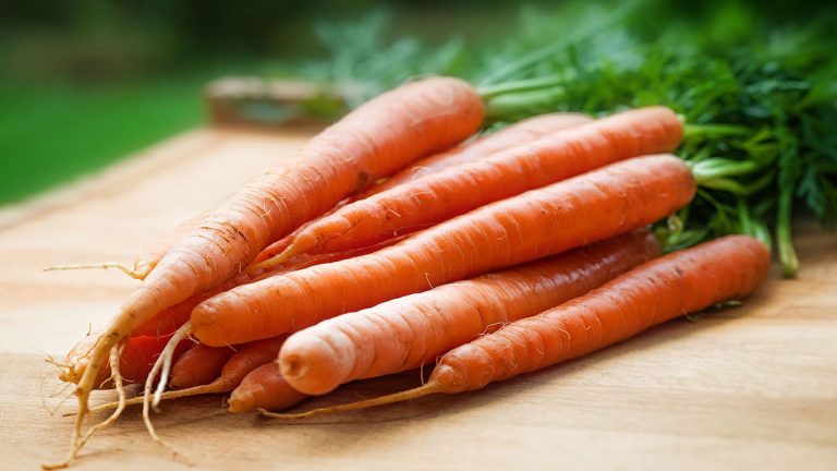 Can You Freeze Carrots