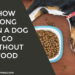 How Long Can a Dog Go Without Food