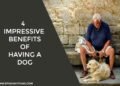 4 Impressive Benefits of Having a Dog