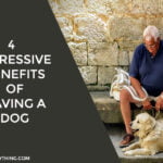4 Impressive Benefits of Having a Dog