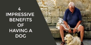 4 Impressive Benefits of Having a Dog