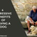 4 Impressive Benefits of Having a Dog