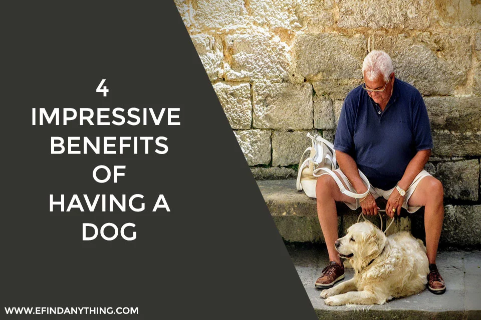 4 Impressive Benefits of Having a Dog