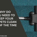 Why Do You Need to Keep Your Carpets Clean All of the Time