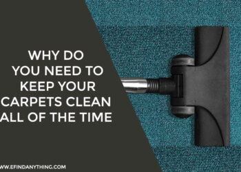 Why Do You Need to Keep Your Carpets Clean All of the Time