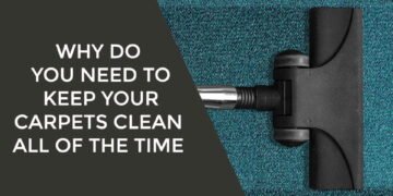 Why Do You Need to Keep Your Carpets Clean All of the Time