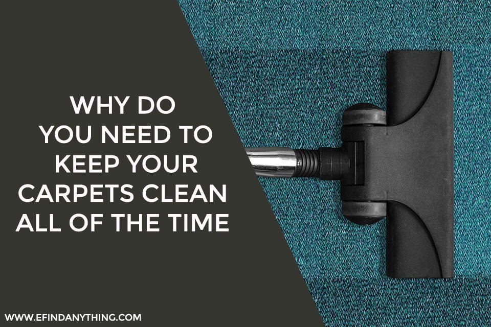 Why Do You Need to Keep Your Carpets Clean All of the Time