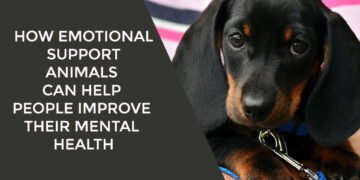 How Emotional Support Animals Can Help People Improve Their Mental Health