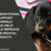 How Emotional Support Animals Can Help People Improve Their Mental Health