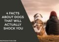 4 Facts About Dogs That Will Actually Shock You