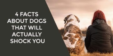 4 Facts About Dogs That Will Actually Shock You
