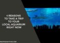 4 Reasons to Take a Trip to Your Local Aquarium Right Now