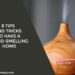 8 Tips and Tricks to Have a Good-Smelling Home