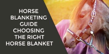 Horse Blanketing