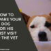 How to Prepare Your Dog for His First Visit to the Vet